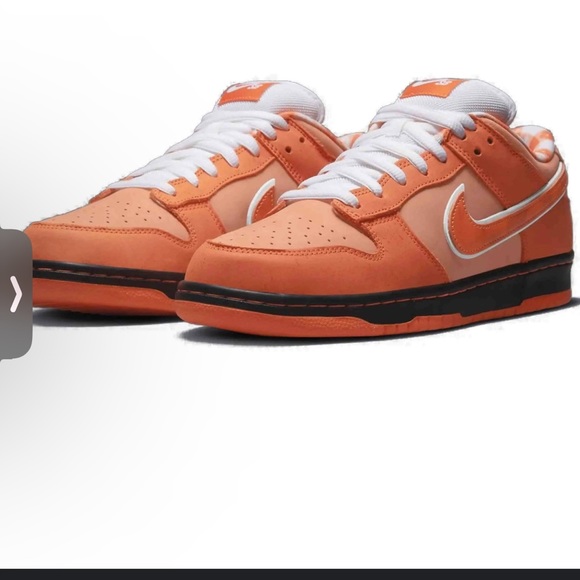 Meet your Posher, Xavier - Picture 1 of 1